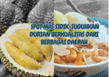 Raja Durian Nusantara Hadir di Cilegon, Mas Sidik suguhkan aneka durian Nusantara