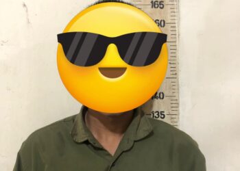 Polres Mesuji Tangkap EF (33), Pelaku Pencurian dan Pengrusakan Kebun Cabai di Desa Fajar Asri!